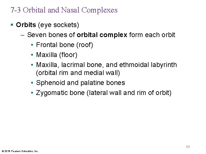 7 -3 Orbital and Nasal Complexes § Orbits (eye sockets) – Seven bones of