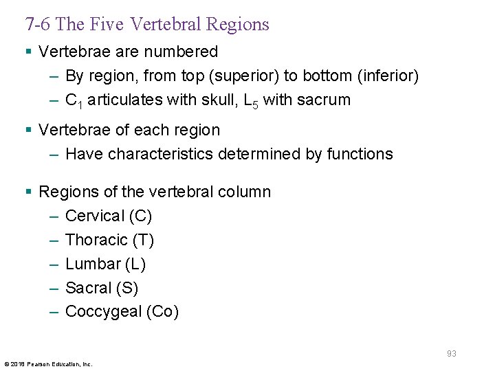7 -6 The Five Vertebral Regions § Vertebrae are numbered – By region, from
