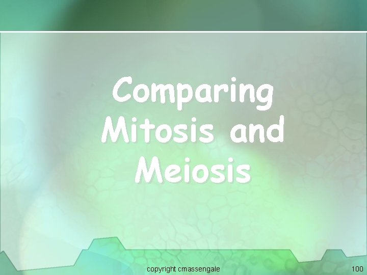Comparing Mitosis and Meiosis copyright cmassengale 100 