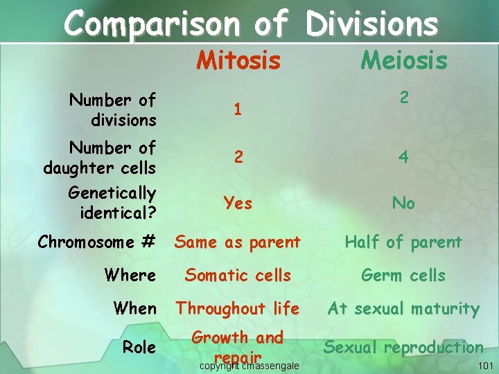 Comparison of Divisions Mitosis Number of divisions Number of daughter cells Genetically identical? 1