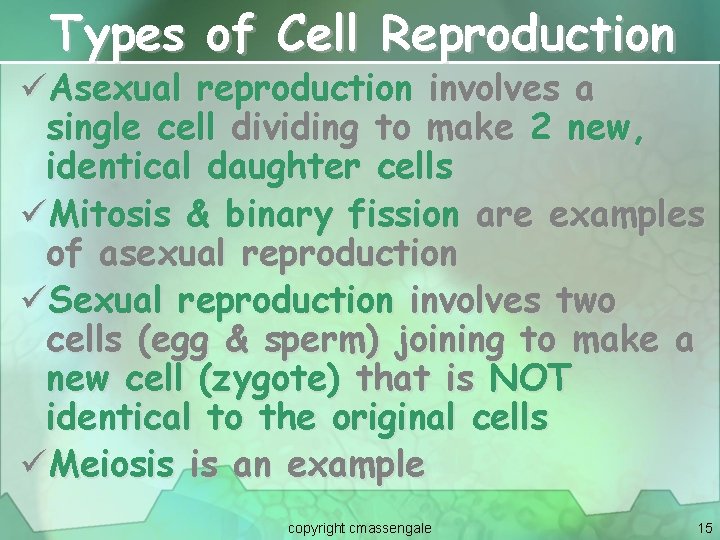 Types of Cell Reproduction üAsexual reproduction involves a single cell dividing to make 2