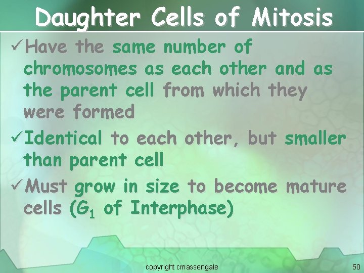 Daughter Cells of Mitosis üHave the same number of chromosomes as each other and