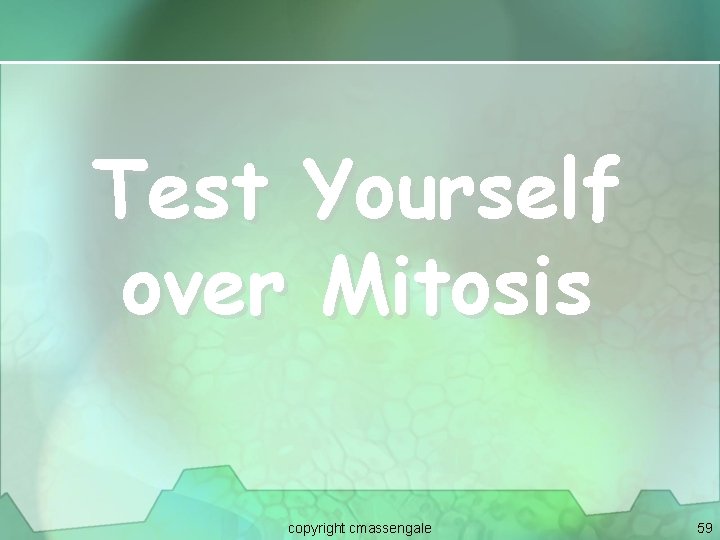 Test Yourself over Mitosis copyright cmassengale 59 