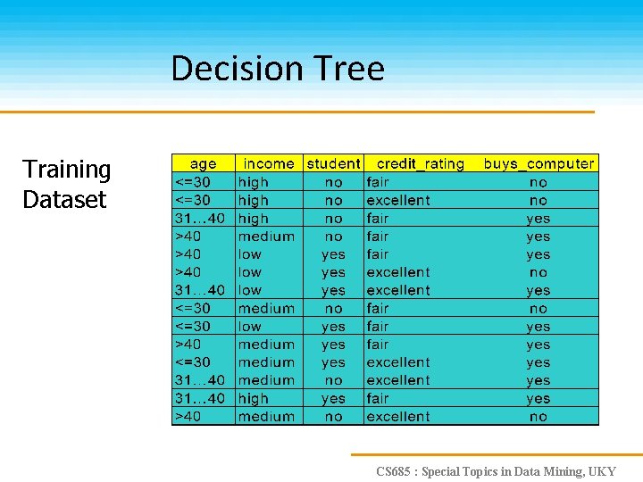 Decision Tree Training Dataset CS 685 : Special Topics in Data Mining, UKY 