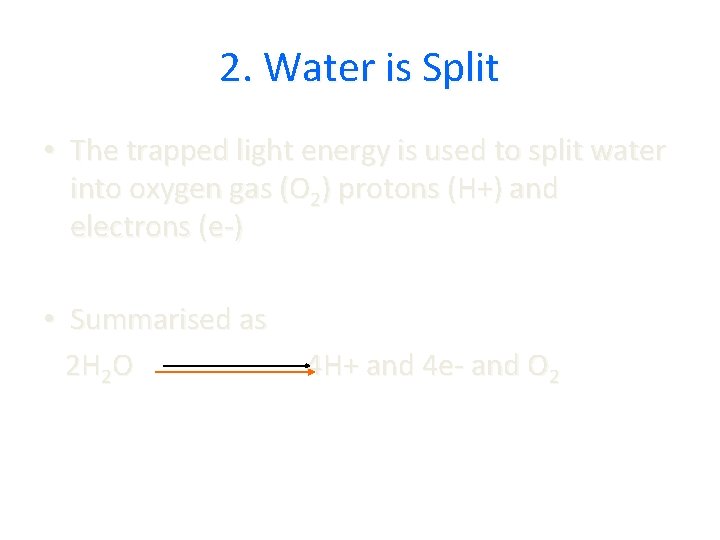 2. Water is Split • The trapped light energy is used to split water