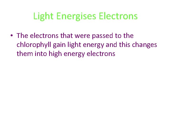 Light Energises Electrons • The electrons that were passed to the chlorophyll gain light