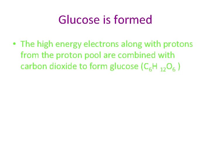 Glucose is formed • The high energy electrons along with protons from the proton