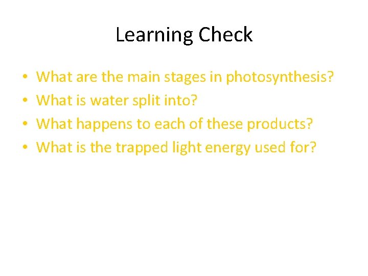 Learning Check • • What are the main stages in photosynthesis? What is water