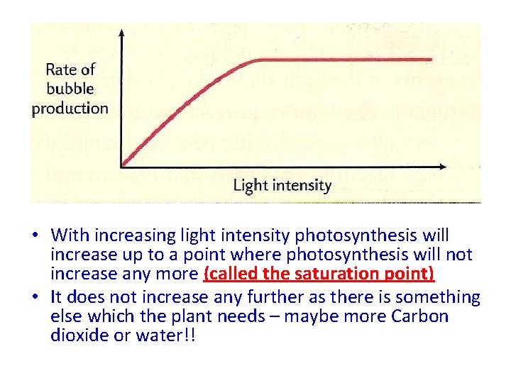 Graph of results • With increasing light intensity photosynthesis will increase up to a