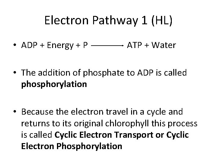 Electron Pathway 1 (HL) • ADP + Energy + P ATP + Water •