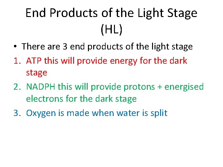 End Products of the Light Stage (HL) • There are 3 end products of