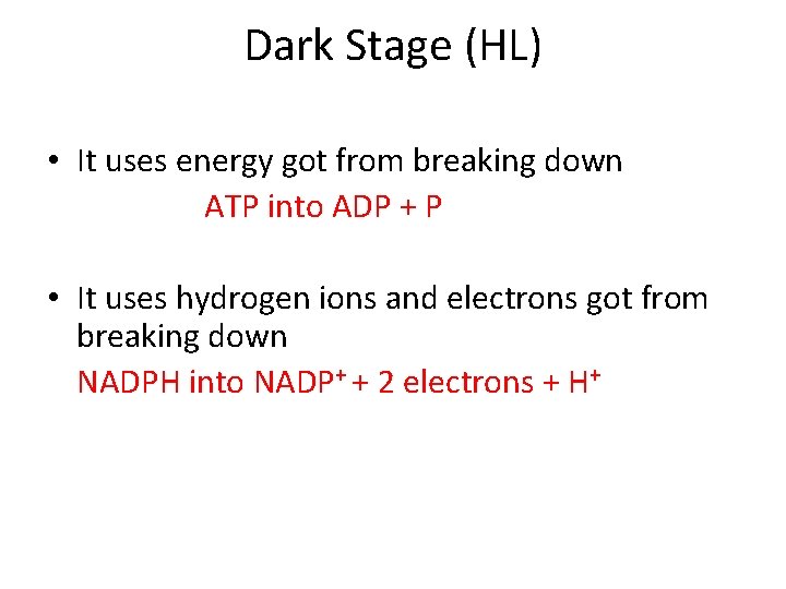 Dark Stage (HL) • It uses energy got from breaking down ATP into ADP