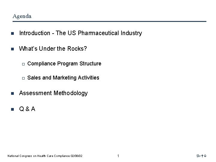 Agenda n Introduction - The US Pharmaceutical Industry n What’s Under the Rocks? o