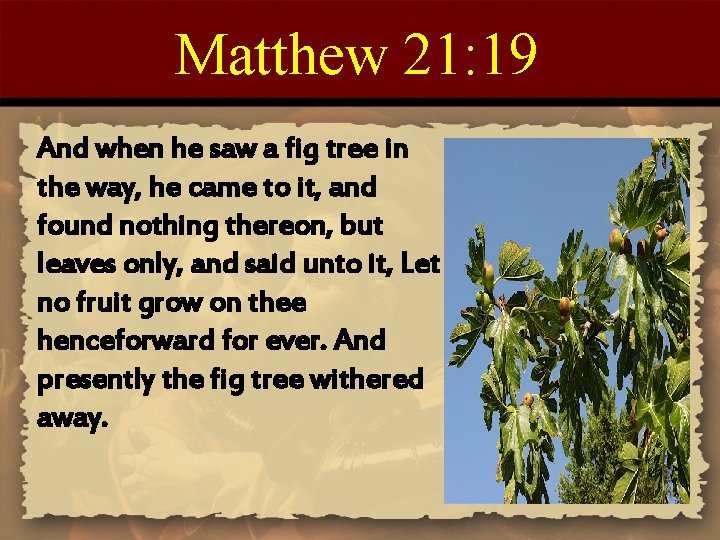 Matthew 21: 19 And when he saw a fig tree in the way, he