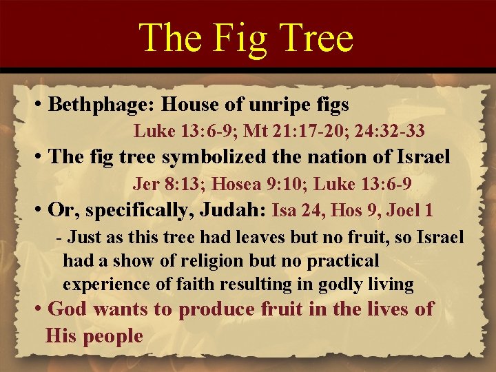 The Fig Tree • Bethphage: House of unripe figs Luke 13: 6 -9; Mt