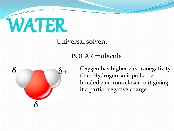 WATER Universal solvent POLAR molecule δ+ δ+ δ- Oxygen has higher electronegativity than Hydrogen