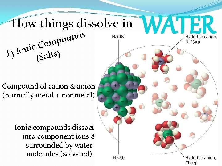 How things dissolve in s d n u o p m o C c