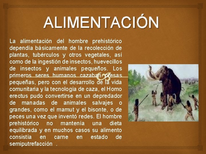ALIMENTACIÓN La alimentación del hombre prehistórico dependía básicamente de la recolección de plantas, tubérculos ALIMENTACIÓN La alimentación del hombre prehistórico dependía básicamente de la recolección de plantas, tubérculos