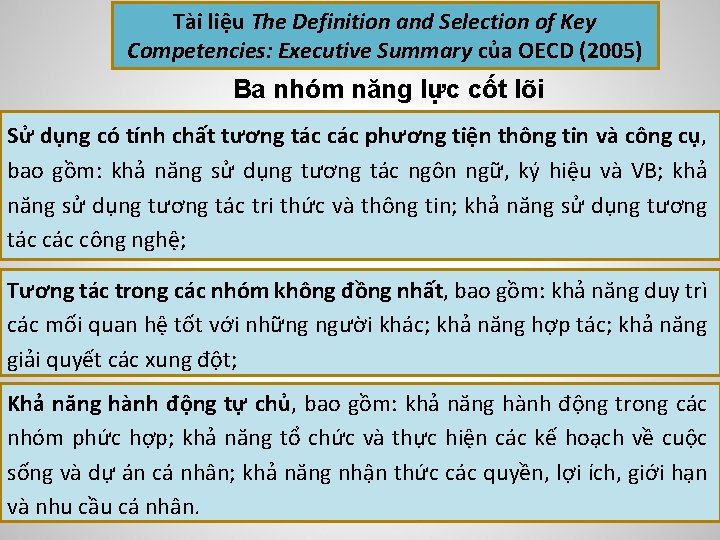 Tài liệu The Definition and Selection of Key Competencies: Executive Summary của OECD (2005)