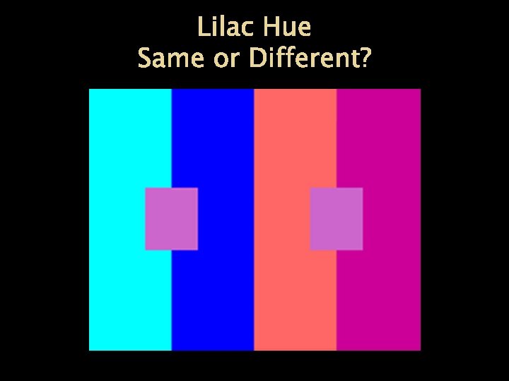 Lilac Hue Same or Different? 