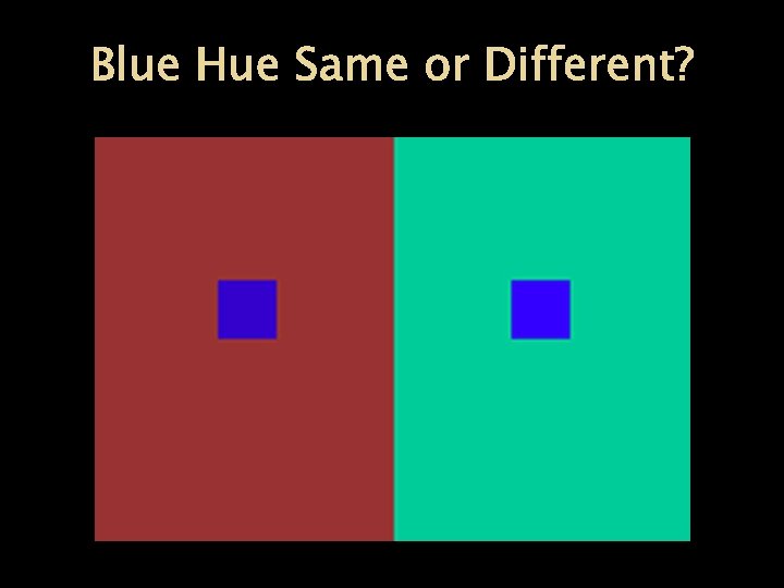 Blue Hue Same or Different? 