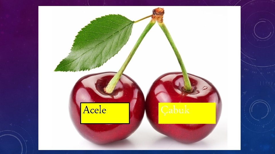 Acele Çabuk 