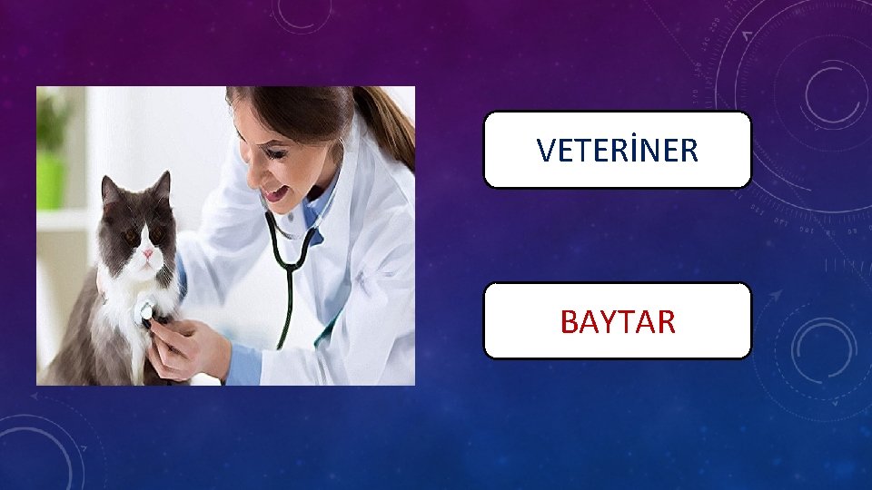 VETERİNER BAYTAR 