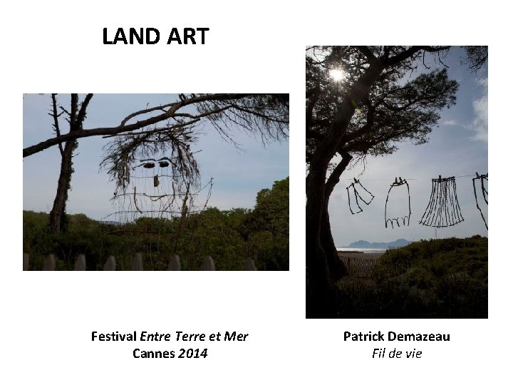 LAND ART Festival Entre Terre et Mer Cannes 2014 Patrick Demazeau Fil de vie