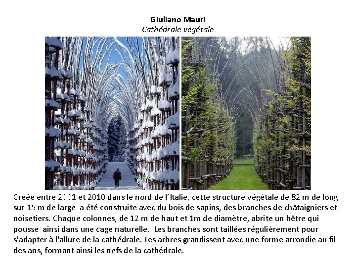 Giuliano Mauri Cathédrale végétale Créée entre 2001 et 2010 dans le nord de l’Italie,