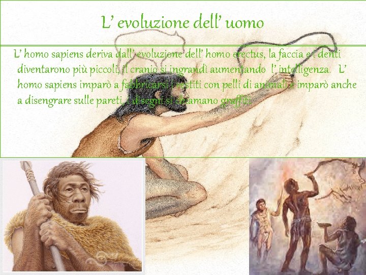 L’ evoluzione dell’ uomo L’ homo sapiens deriva dall’ evoluzione dell’ homo erectus, la