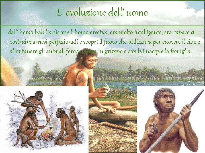 L’ evoluzione dell’ uomo dall’ homo habilis discese l’ homo erectus, era molto intelligente,