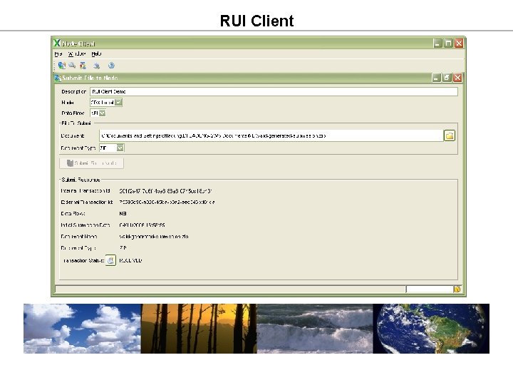 RUI Client RUI Client