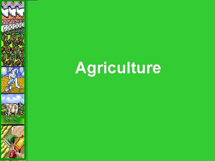 Agriculture 