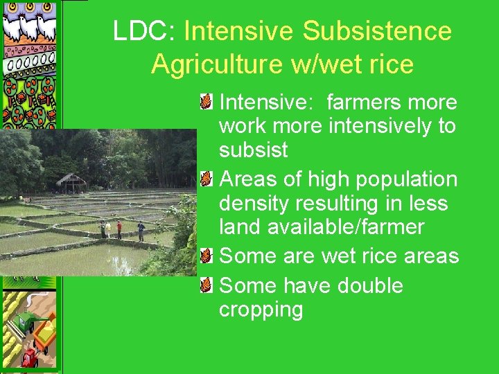 LDC: Intensive Subsistence Agriculture w/wet rice Intensive: farmers more work more intensively to subsist