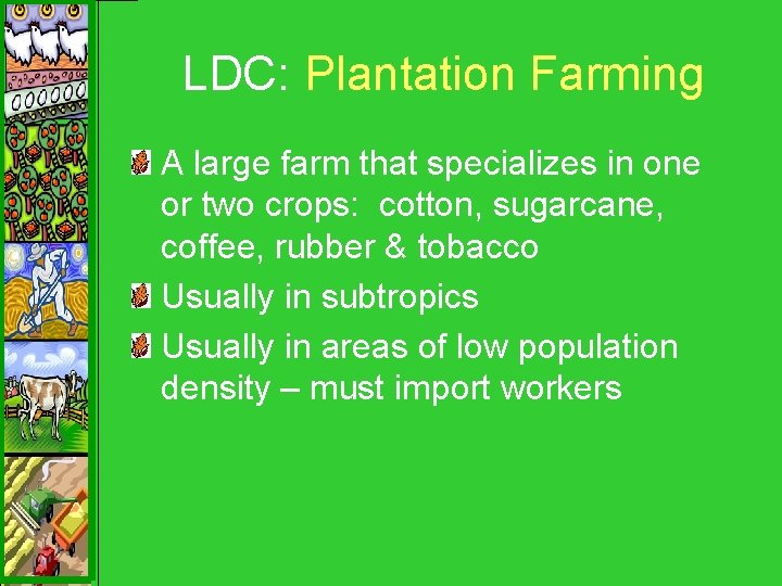 LDC: Plantation Farming A large farm that specializes in one or two crops: cotton,