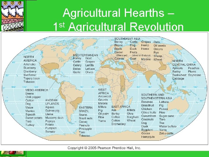 Agricultural Hearths – 1 st Agricultural Revolution 