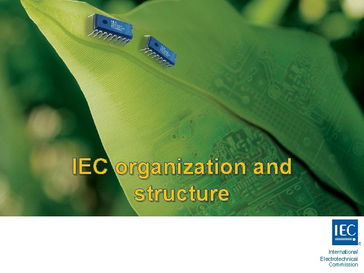 IEC organization and structure International Electrotechnical Commission 