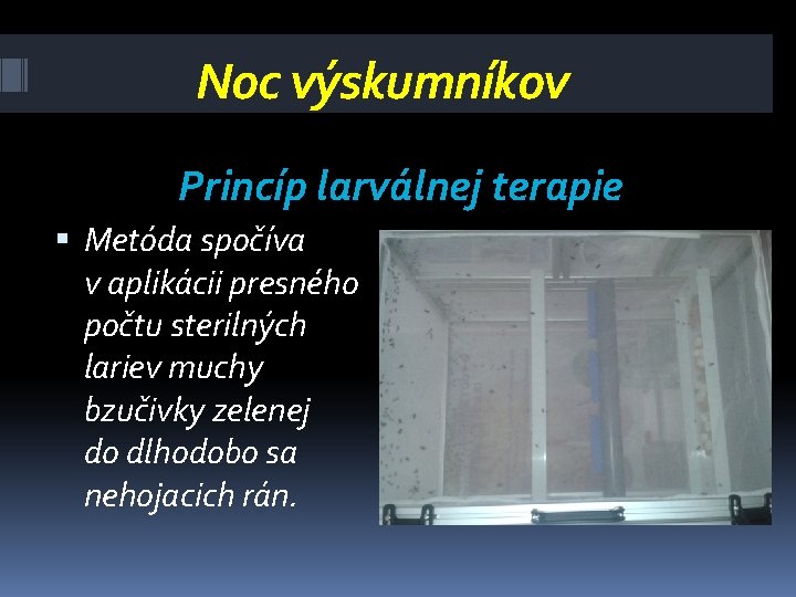 Noc výskumníkov Princíp larválnej terapie Metóda spočíva v aplikácii presného počtu sterilných lariev muchy