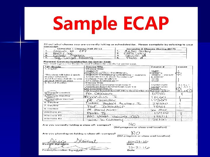 Sample ECAP 