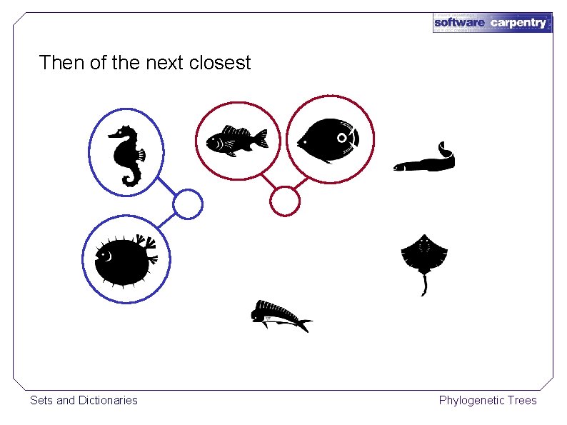 Then of the next closest Sets and Dictionaries Phylogenetic Trees 