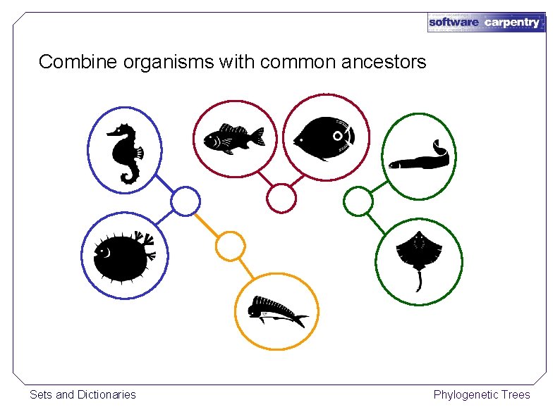Combine organisms with common ancestors Sets and Dictionaries Phylogenetic Trees 