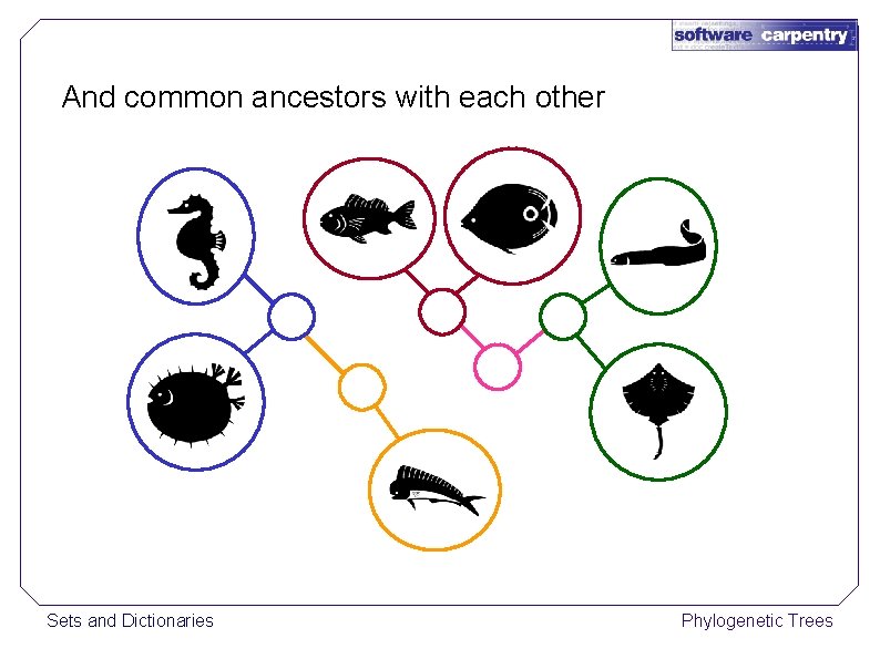 And common ancestors with each other Sets and Dictionaries Phylogenetic Trees 