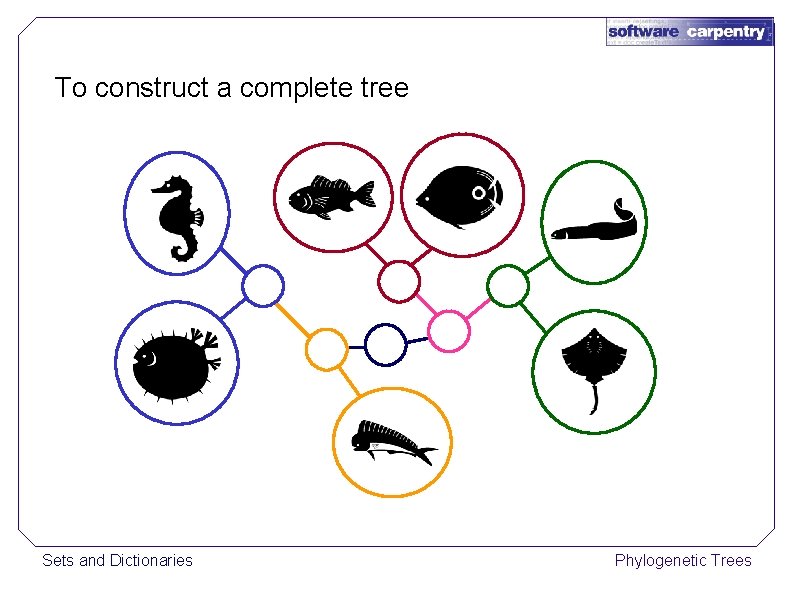 To construct a complete tree Sets and Dictionaries Phylogenetic Trees 