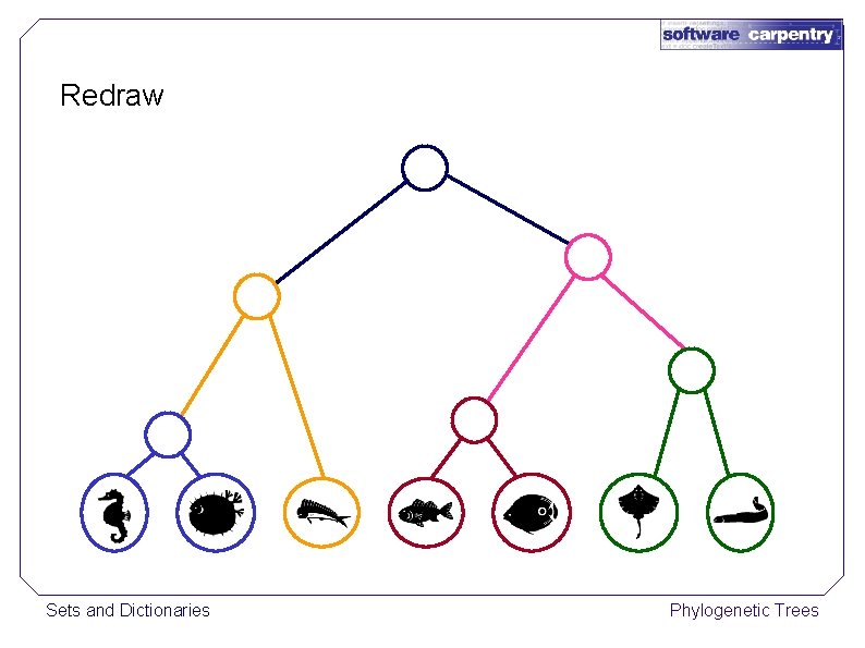 Redraw Sets and Dictionaries Phylogenetic Trees 