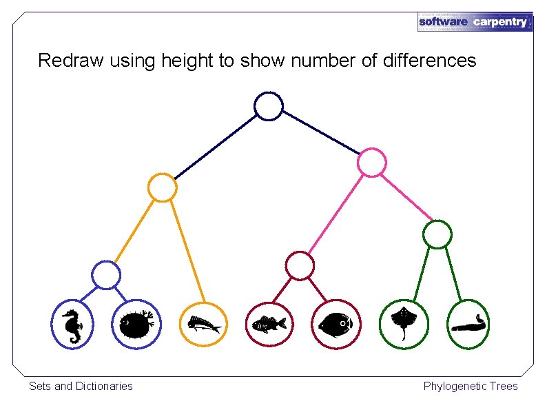 Redraw using height to show number of differences Sets and Dictionaries Phylogenetic Trees 