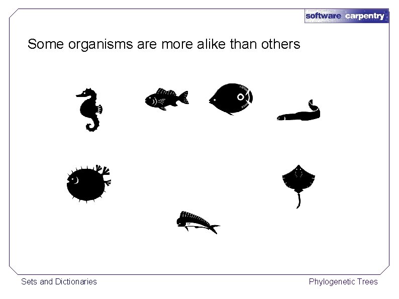 Some organisms are more alike than others Sets and Dictionaries Phylogenetic Trees 