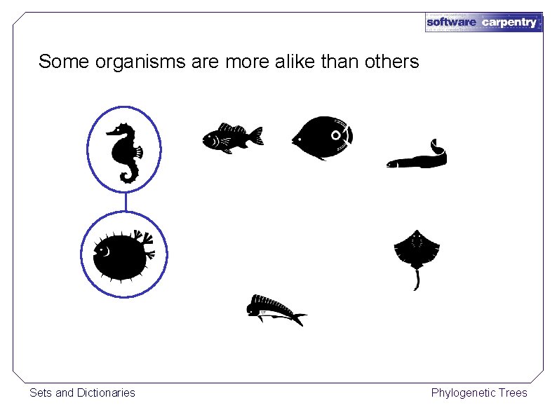 Some organisms are more alike than others Sets and Dictionaries Phylogenetic Trees 