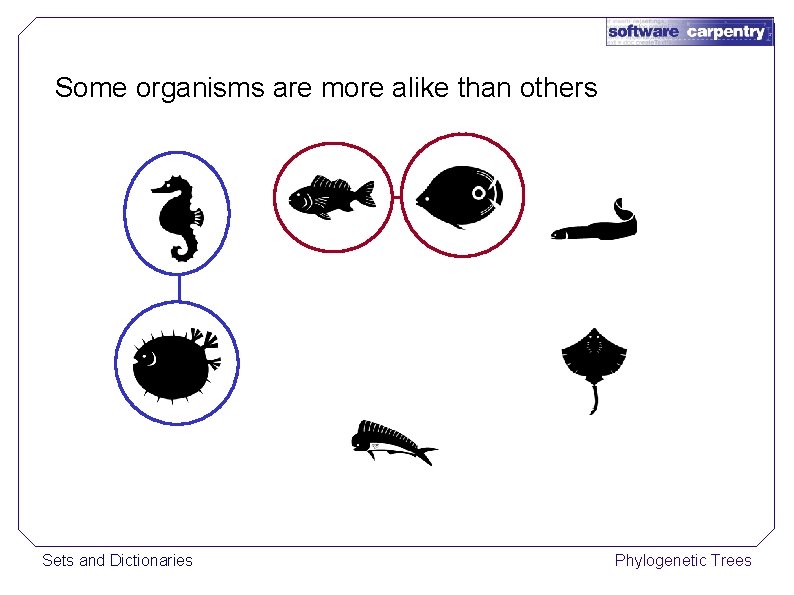 Some organisms are more alike than others Sets and Dictionaries Phylogenetic Trees 