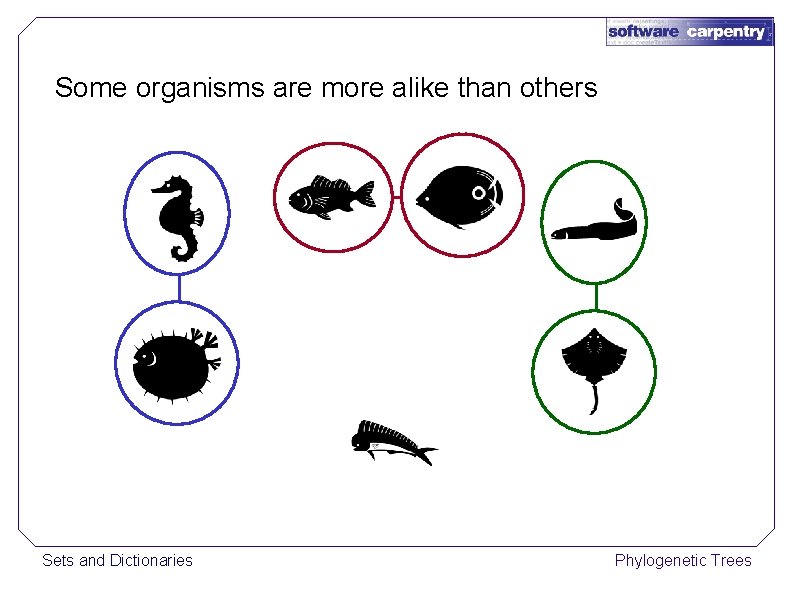 Some organisms are more alike than others Sets and Dictionaries Phylogenetic Trees 