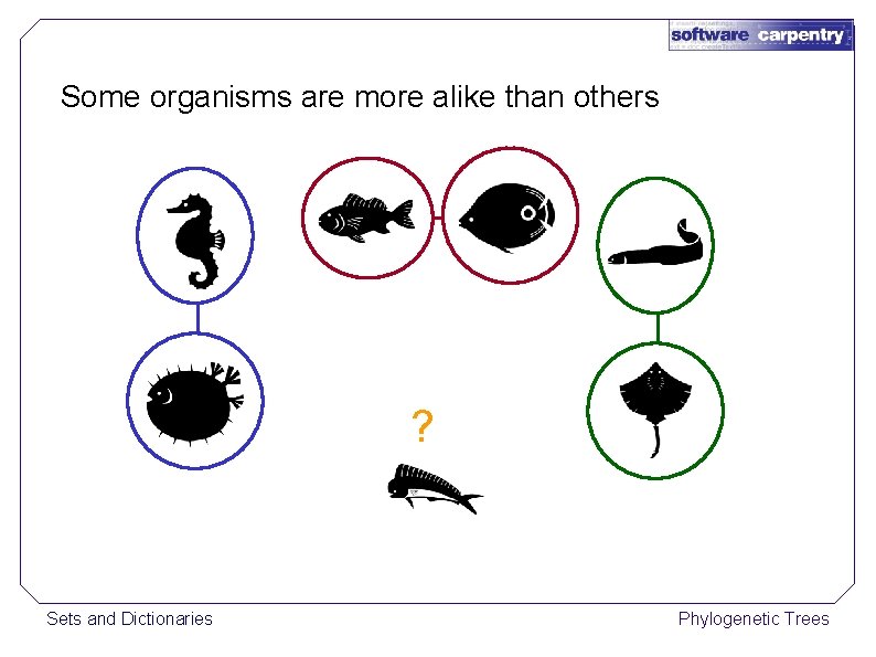 Some organisms are more alike than others ? Sets and Dictionaries Phylogenetic Trees 